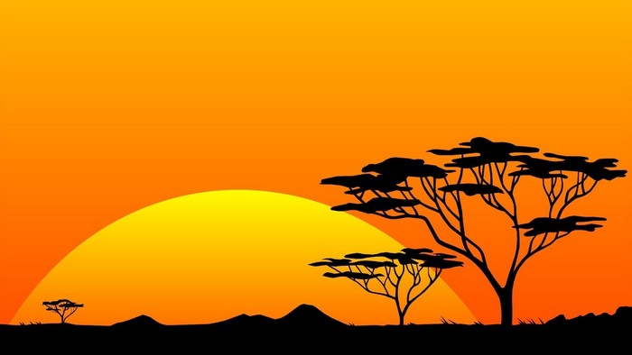 Savannah Sunset with Acacia Trees