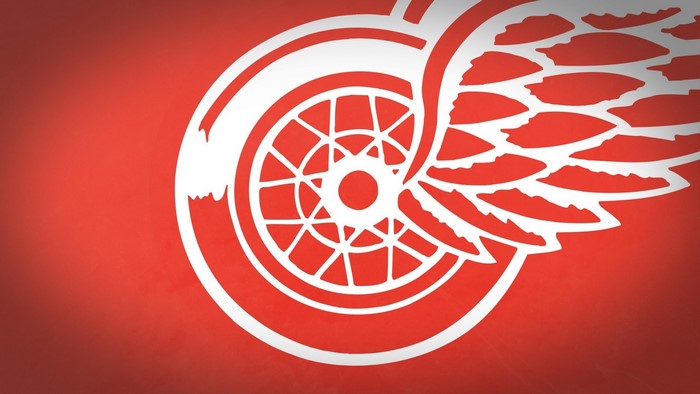 Detroit Red Wings NHL Logo
