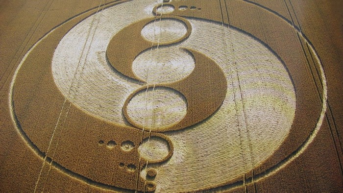 Crop circle in a wheat field
