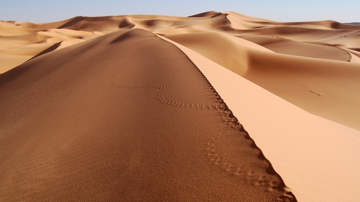Desert sand dunes with animal tracks