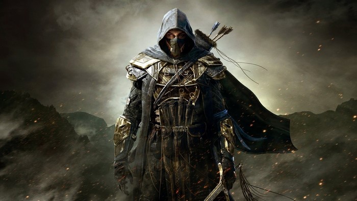 The Elder Scrolls Online Warrior with Hood and Mask