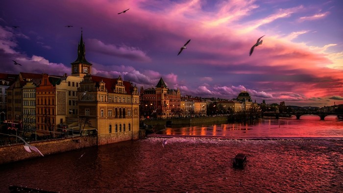 Prague cityscape with river and birds at sunset