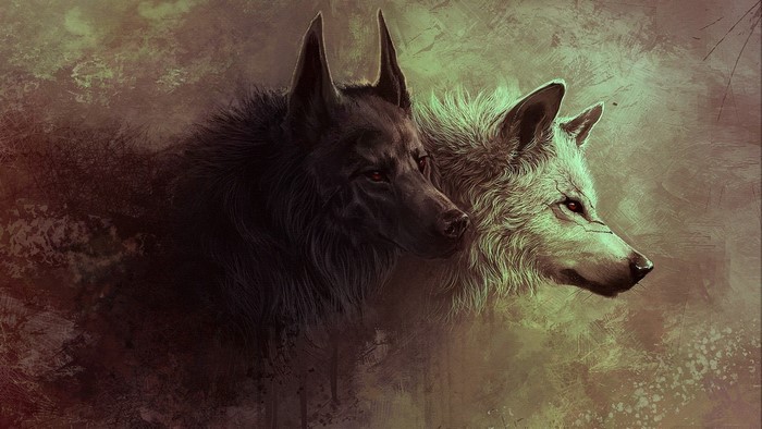 Two wolves, one black and one white, art