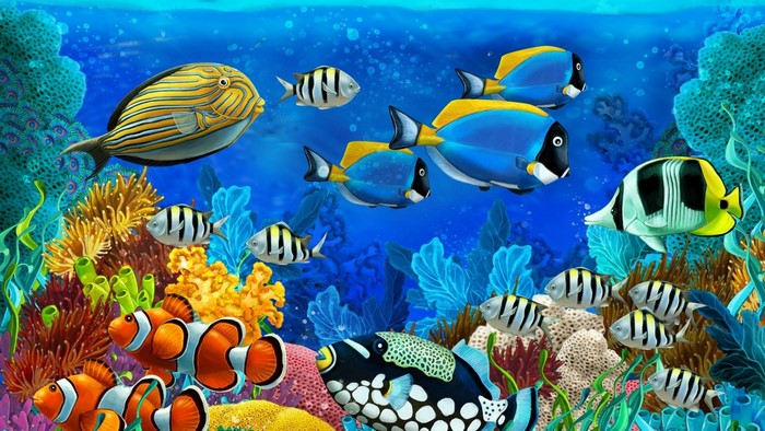Reef fish swimming among coral and anemones