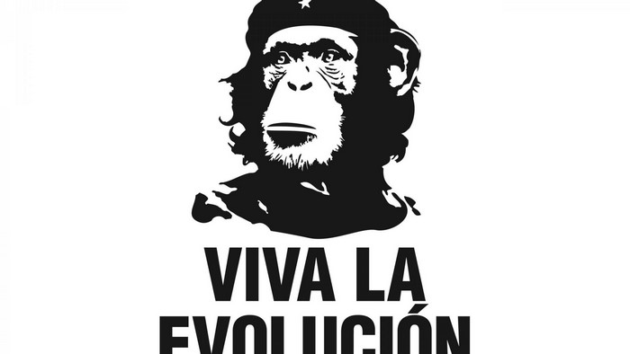 Monkey wearing Che Guevara hat with Viva La Evolucion text
