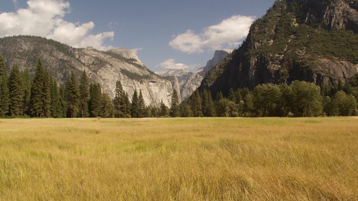 Yosemite Valley with Mountains and Meadow