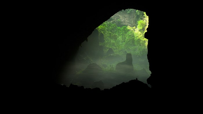 View from Son Doong Cave entrance to jungle