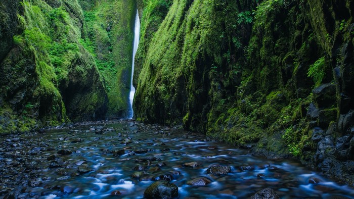 Oneonta Gorge Waterfall in Oregon