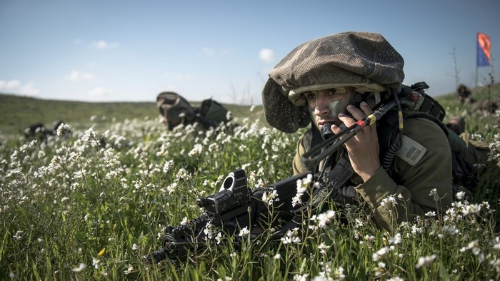 Soldier using radio in a field of flowers