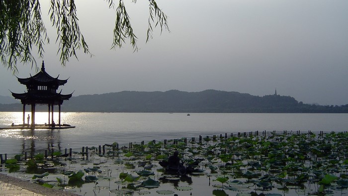 West Lake Pagoda and Lotus Pond