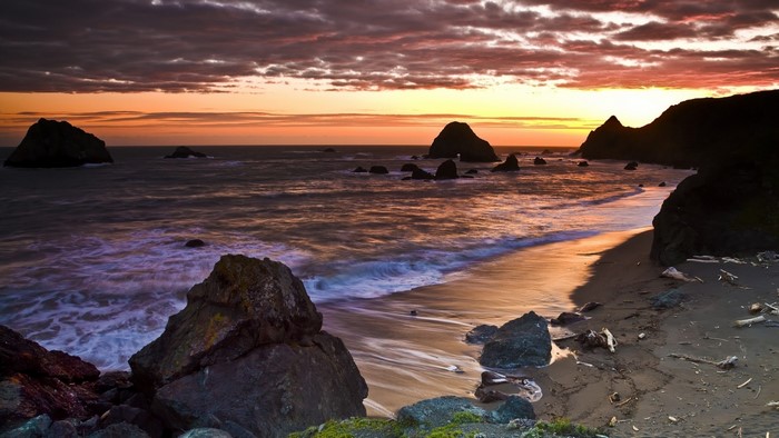 Sonoma Coastline at Sunset