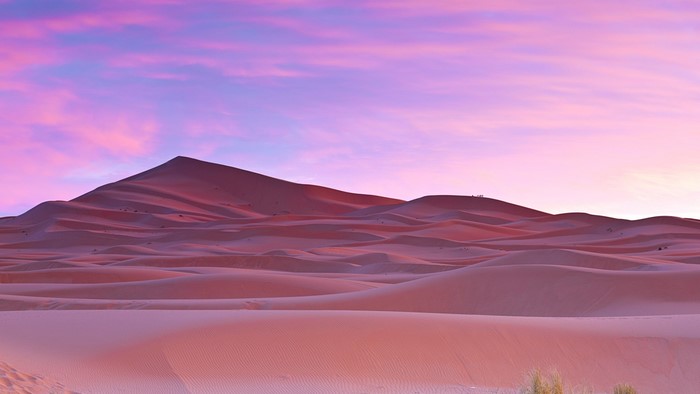 Sahara Desert dunes at sunset with purple sky
