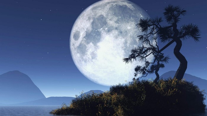Artistic Moon Landscape with Bonsai Tree