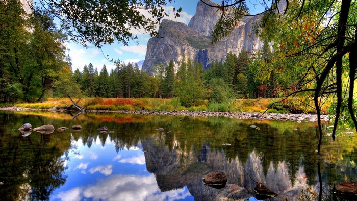 Yosemite Mirror Lake with Mountains and Trees