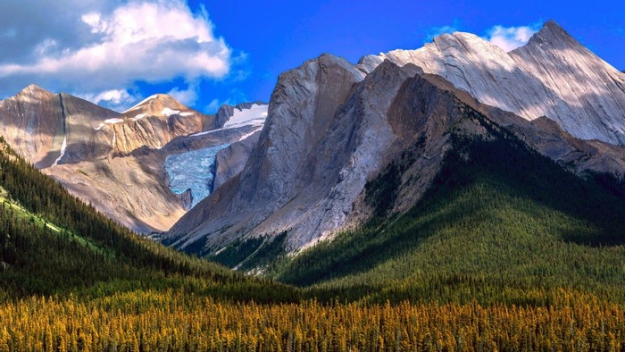 Rugged Mountain Landscape with Glacier and Forest