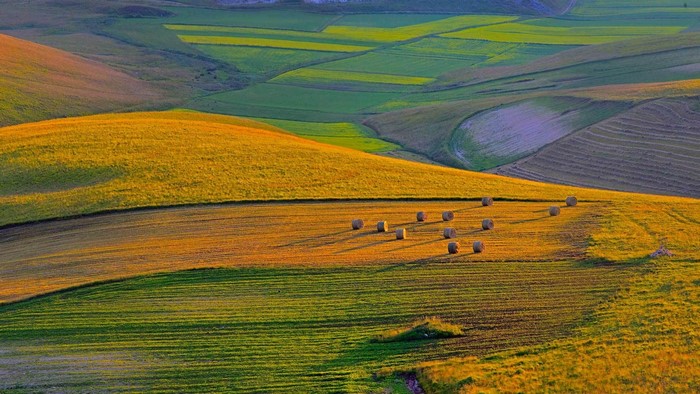 Farmland with hay bales in Perugia