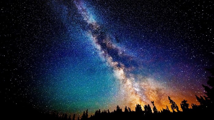 Milky Way Galaxy Over Forest Silhouette