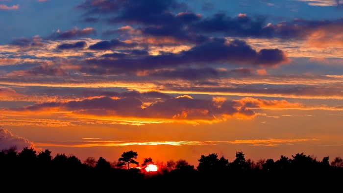Sunset over a silhouetted forest