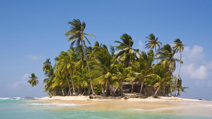 Tiny tropical island with palm trees and a hut