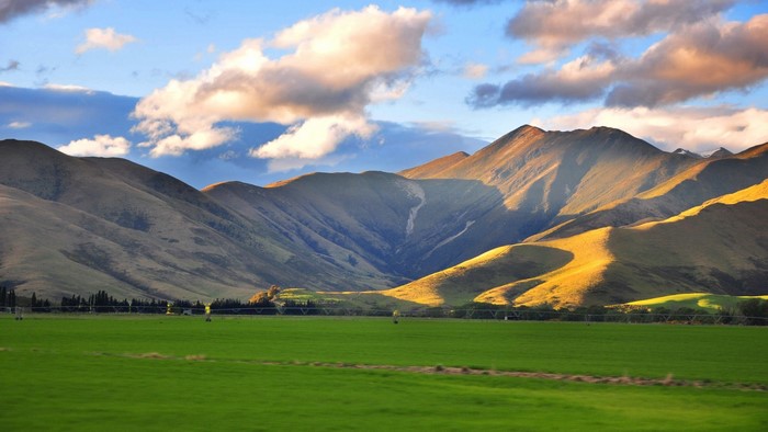 New Zealand Landscape from Van