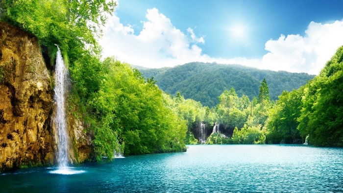 Waterfall in a Lush Green Forest with a Lake