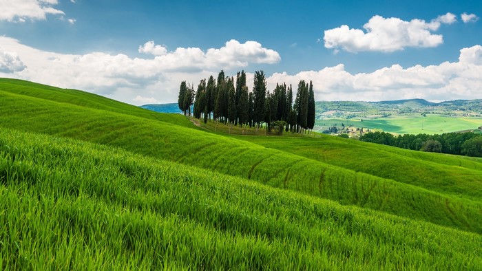 Italy Tuscany Hills Grass Field