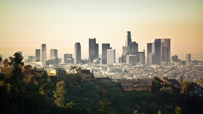 Los Angeles Cityscape with Hills and Houses