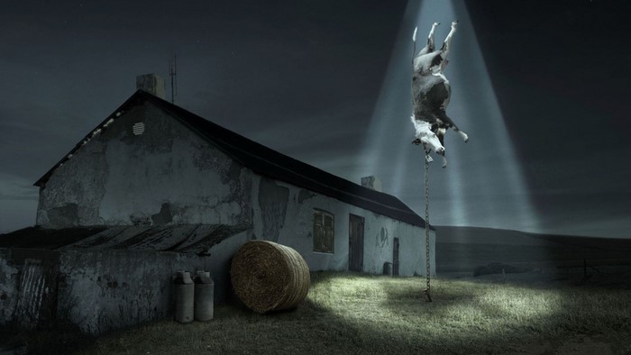 Cow abducted by UFO over farm at night
