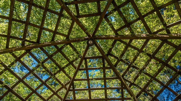 Wooden Gazebo with Greenery and Sky