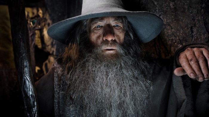 Gandalf the Grey from The Lord of the Rings