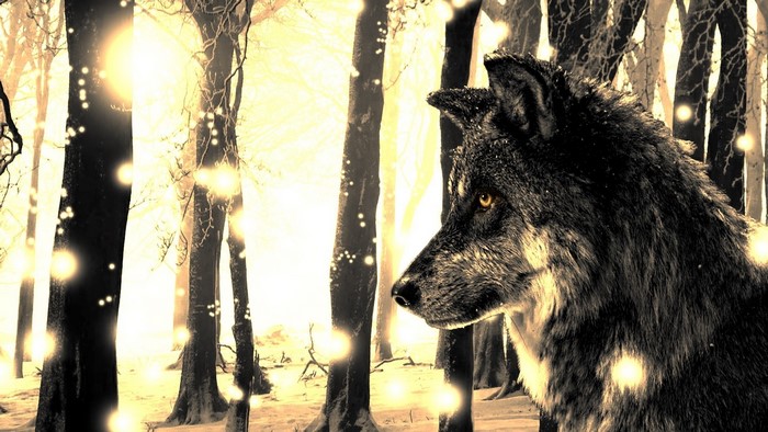 Wolf in a magical forest with glowing lights