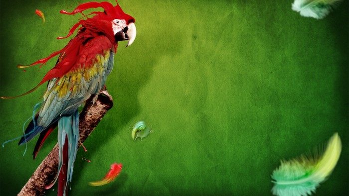 Macaw parrot with red paint splash on a branch