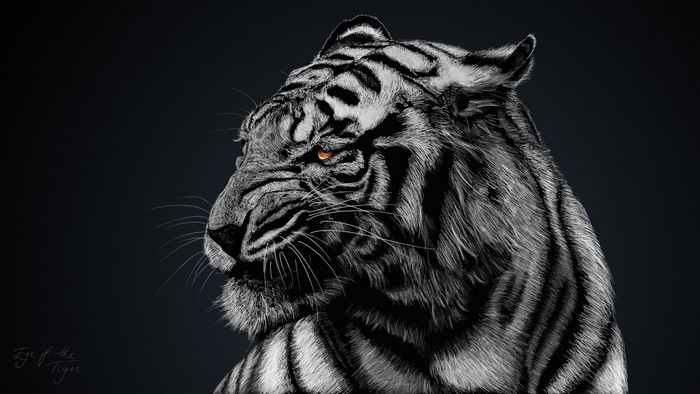 Black and White Tiger with Selective Color Eye