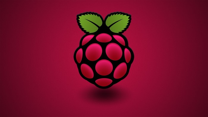 Raspberry Pi Logo