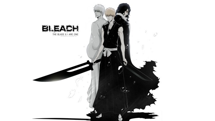 Bleach: The Blade & I Are One