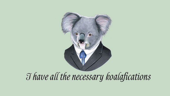 Koala in a suit with the text "I have all the necessary koalafications"