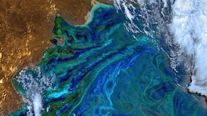 Satellite view of a plankton bloom in the ocean
