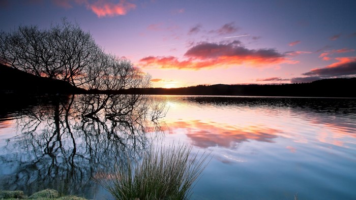 Sunset over a forest lake with tree reflections