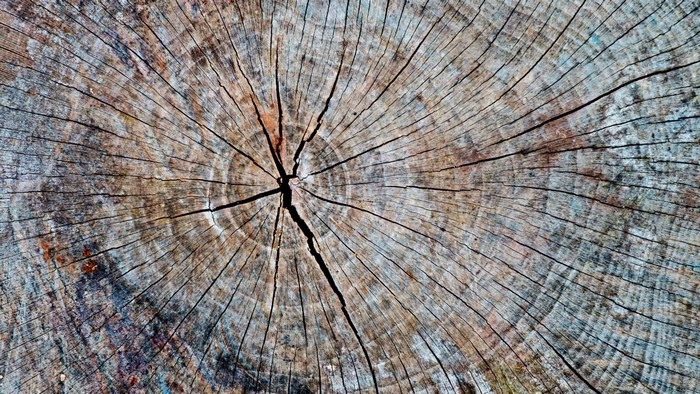 Wood Texture with Cracks