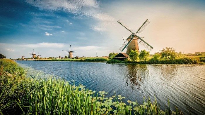 Dutch Windmills by a Canal