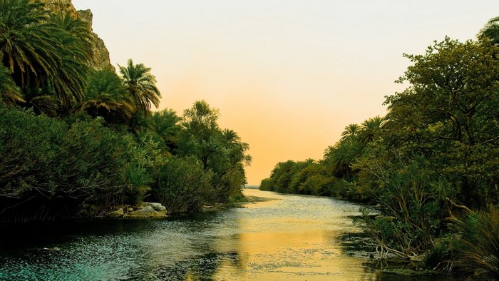 River with Palm Trees and Rocky Hill