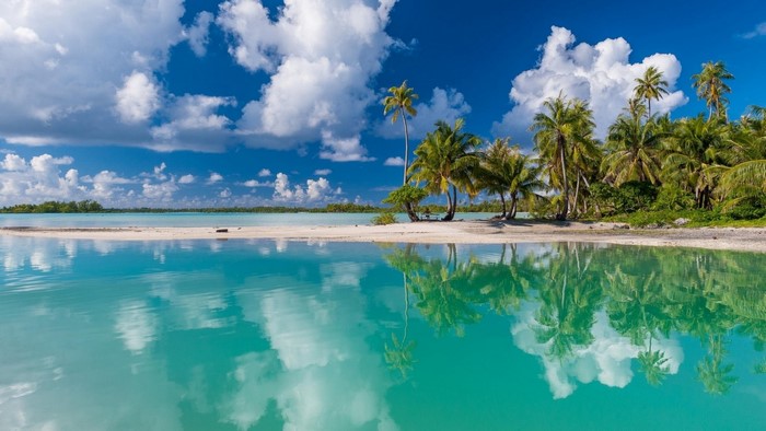 Tropical beach with palm trees and turquoise water