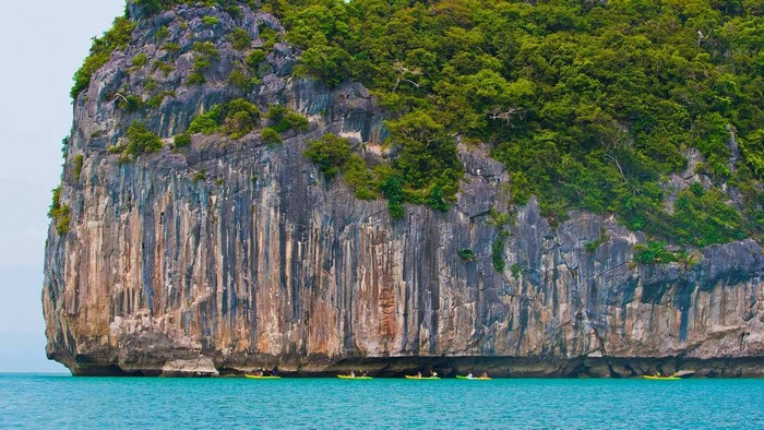 Kayakers near a rocky cliff with trees