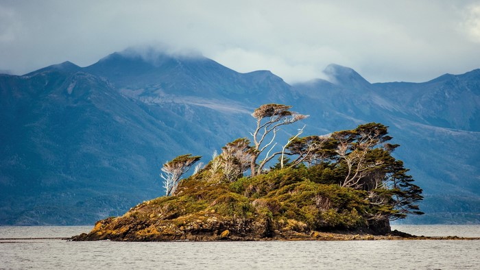 Small island with trees and mountains