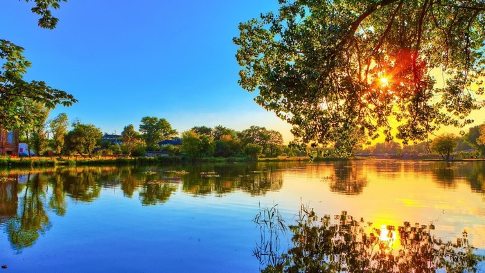 Morning sun over a tranquil lake with trees