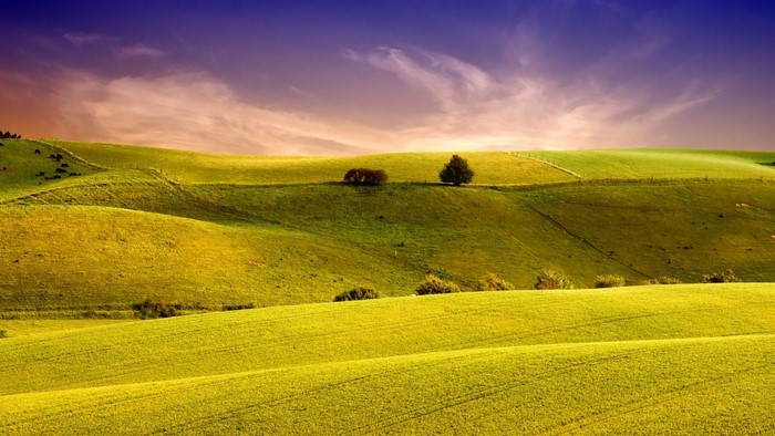 Rolling green hills under a purple and orange sky