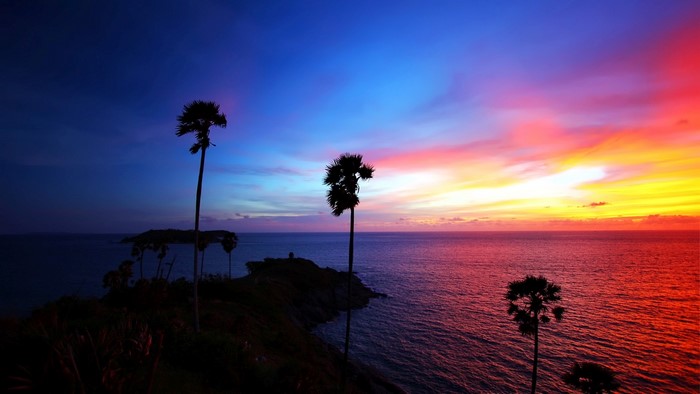 Tropical sunset over the ocean with palm trees