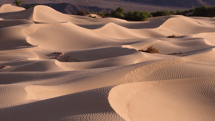 Sand dunes in a desert landscape