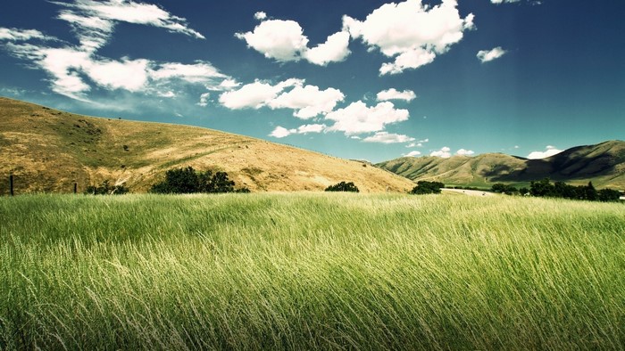 Green grass field with rolling hills and clouds