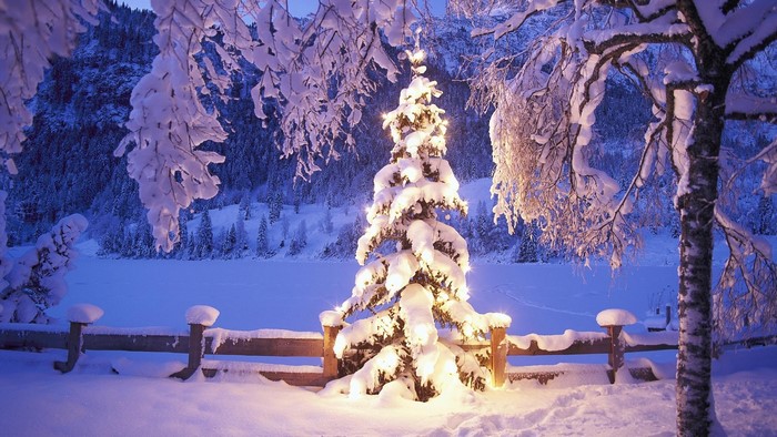 Decorated Christmas Tree in Snowy Landscape